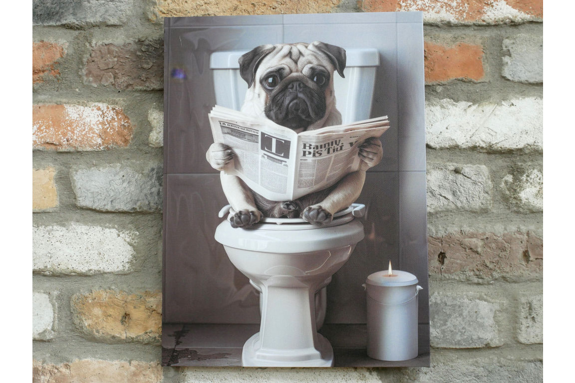 Pug on the Loo