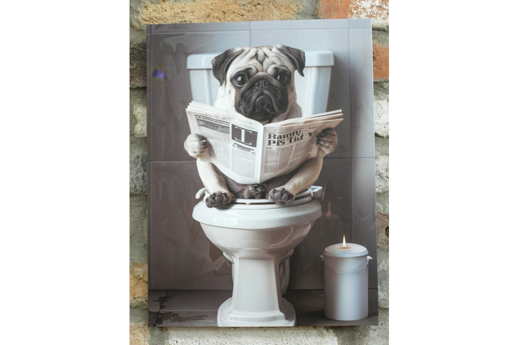 Pug on the Loo