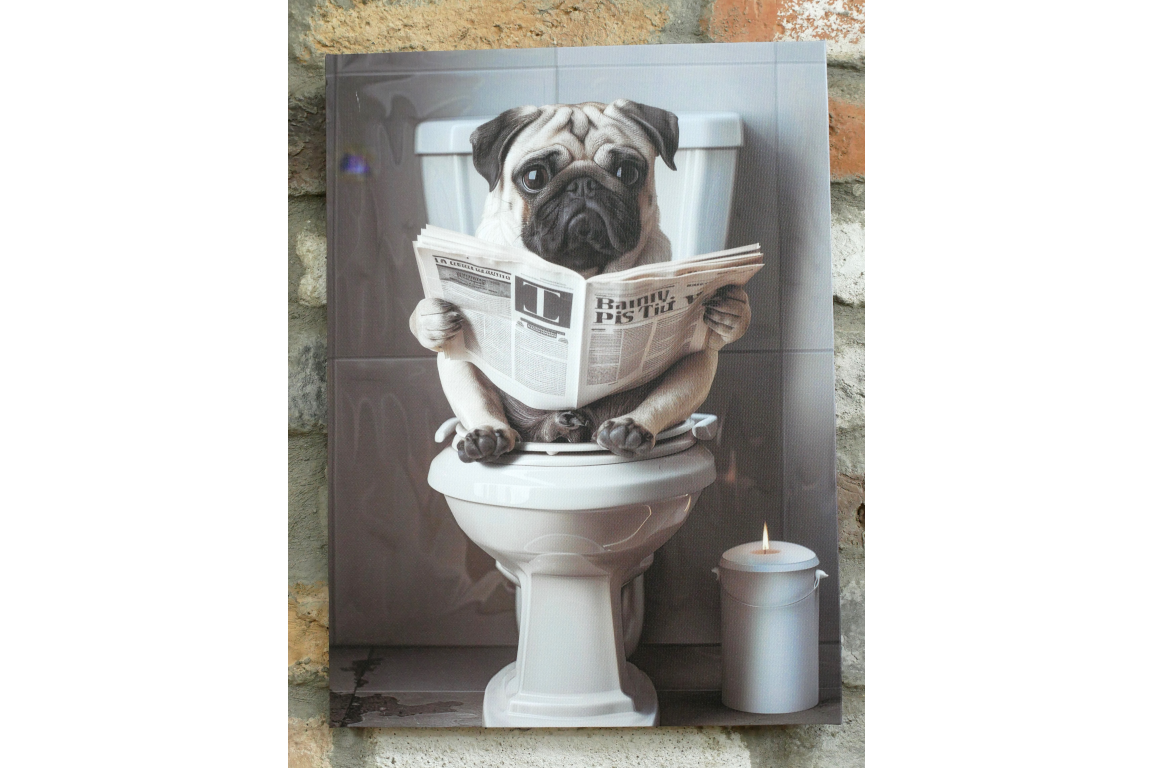 Pug on the Loo