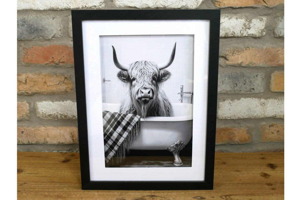 Highland Cow in the Bath