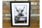 Highland Cow in the Bath
