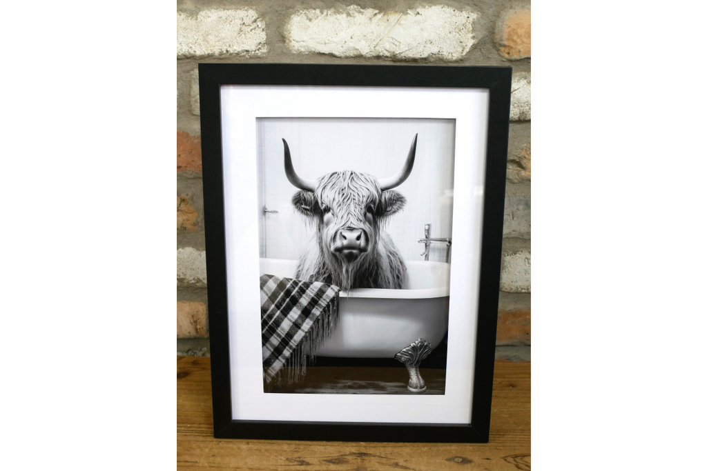 Highland Cow in the Bath