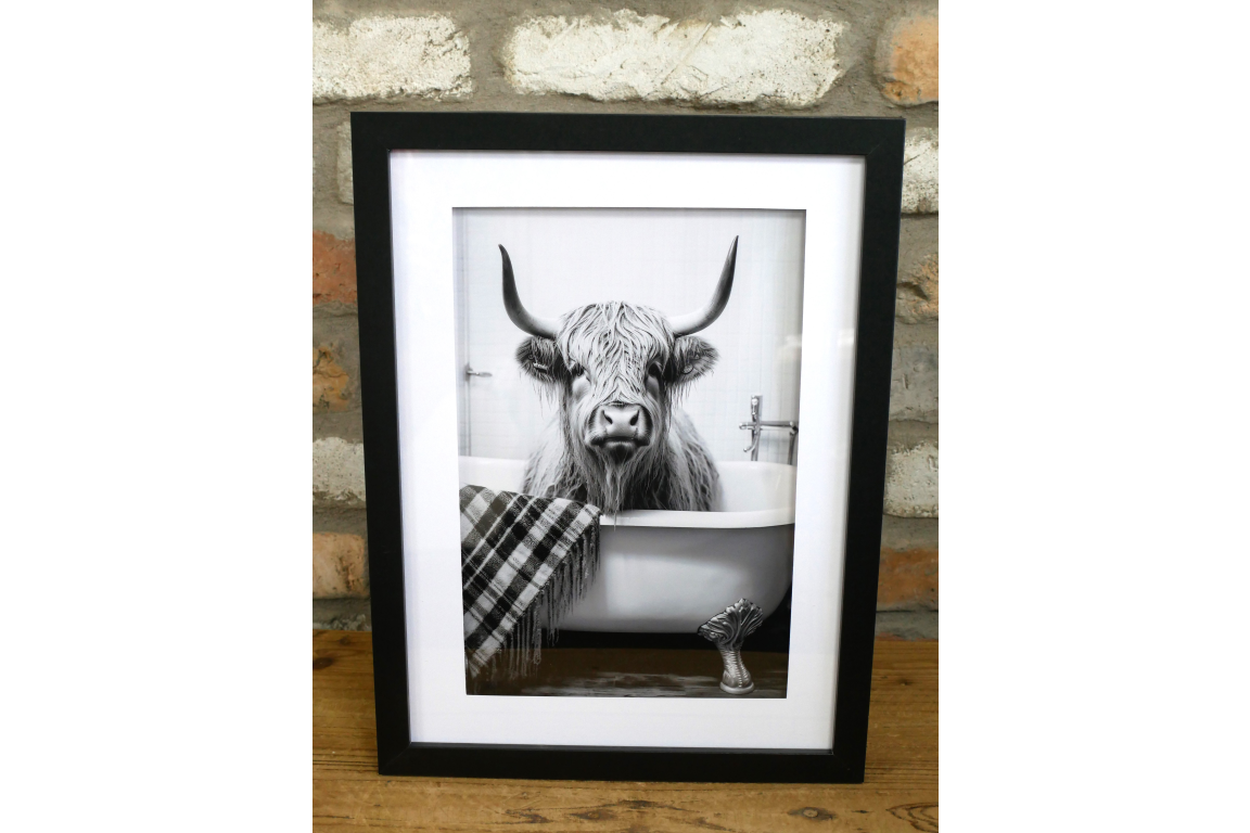 Highland Cow in the Bath