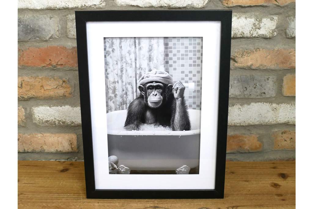 Chimp in the Bath