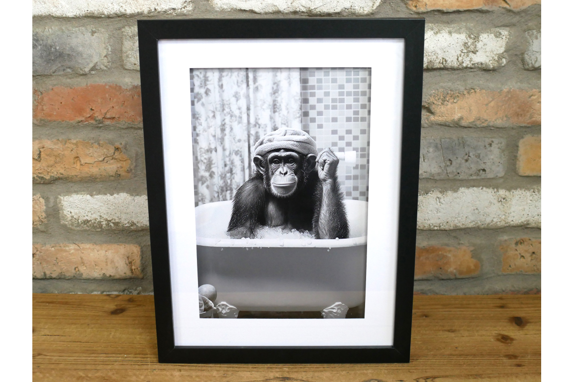 Chimp in the Bath