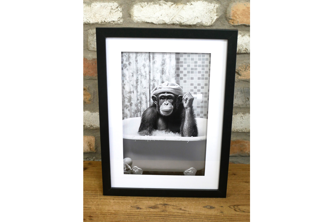 Chimp in the Bath