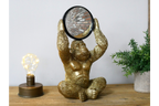 Gorilla Mirror