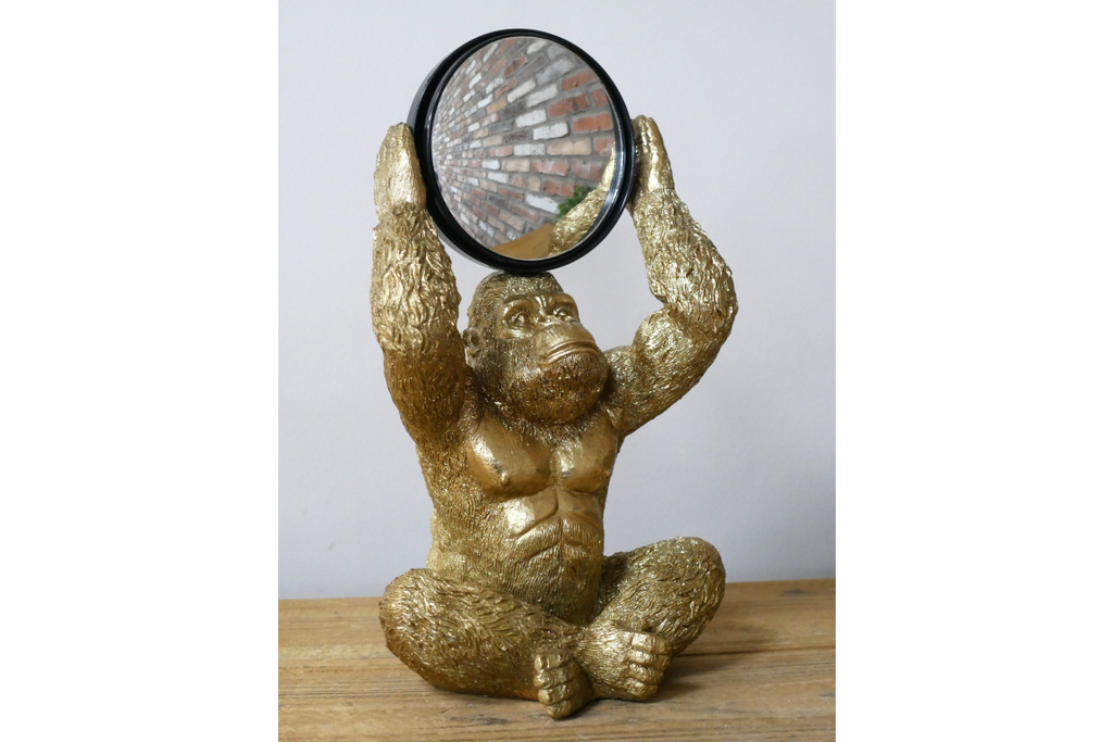 Gorilla Mirror