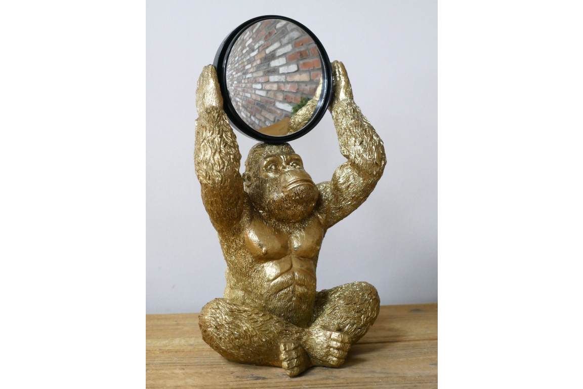Gorilla Mirror