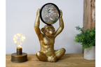 Monkey Mirror