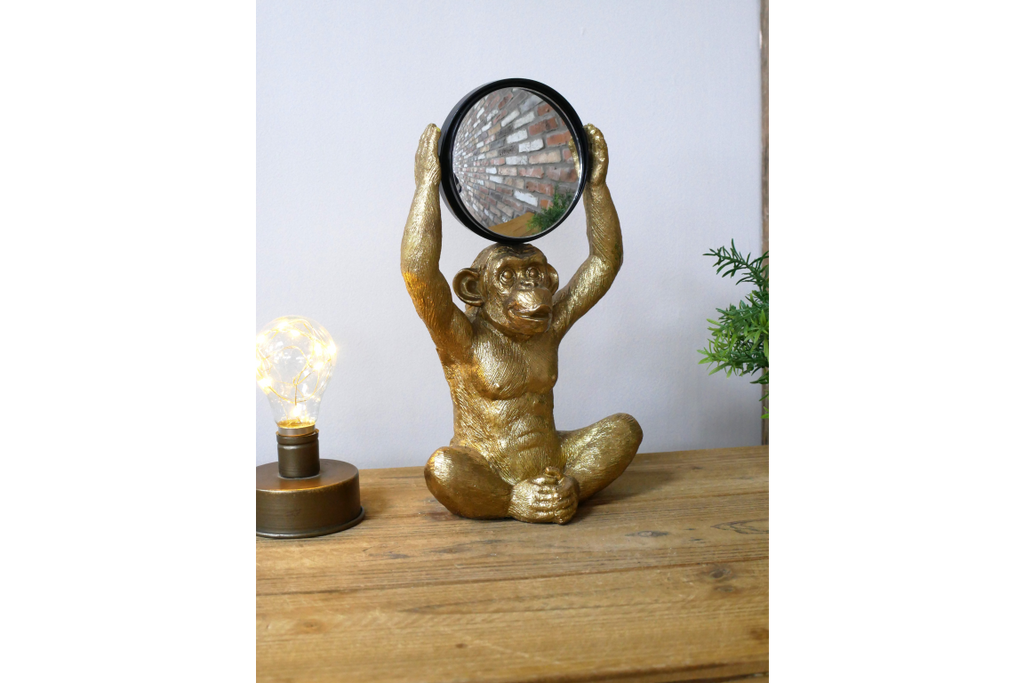 Monkey Mirror