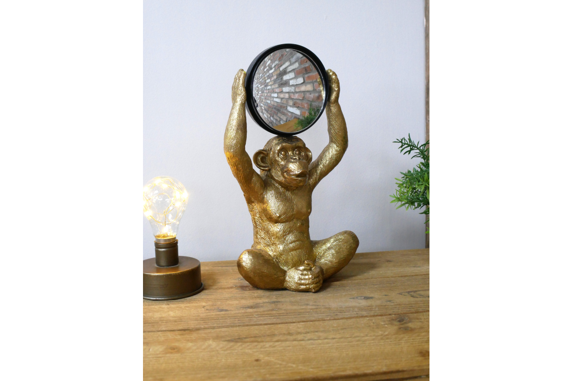 Monkey Mirror