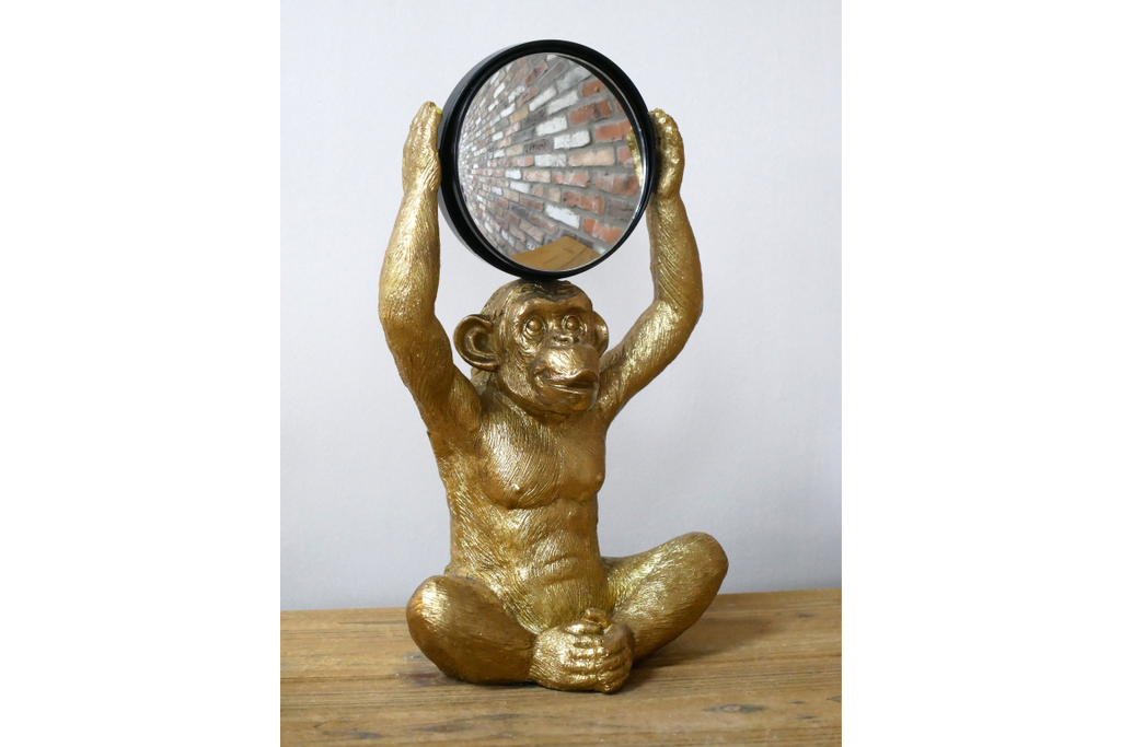 Monkey Mirror
