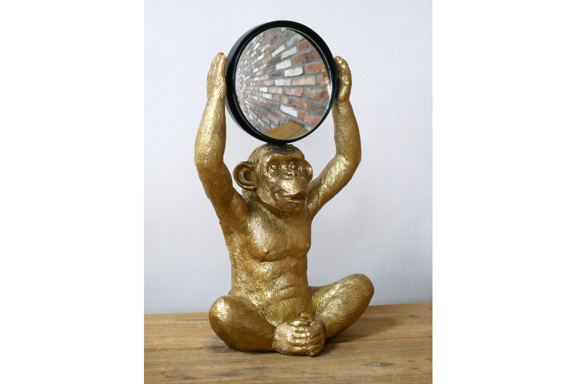 Monkey Mirror