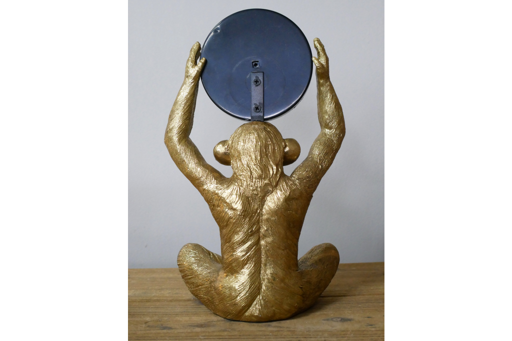 Monkey Mirror