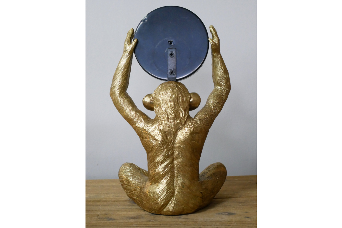 Monkey Mirror