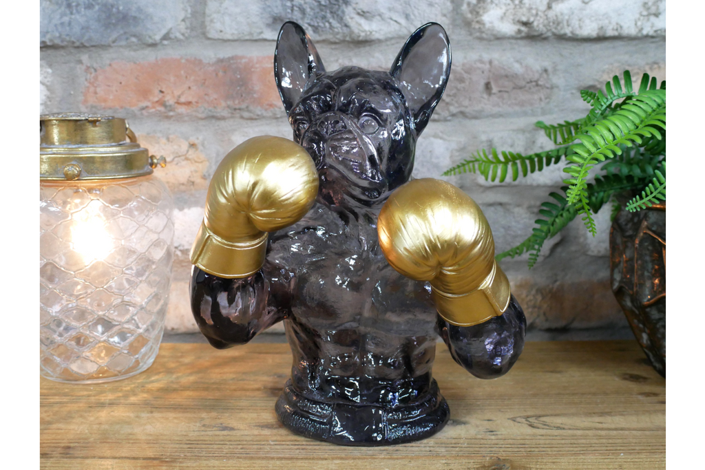 Boxing French Bulldog