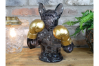 Boxing French Bulldog