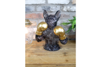 Boxing French Bulldog