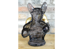 Boxing French Bulldog