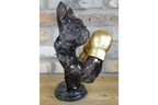 Boxing French Bulldog
