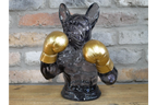 Boxing French Bulldog