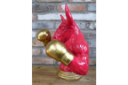 Boxing Bull