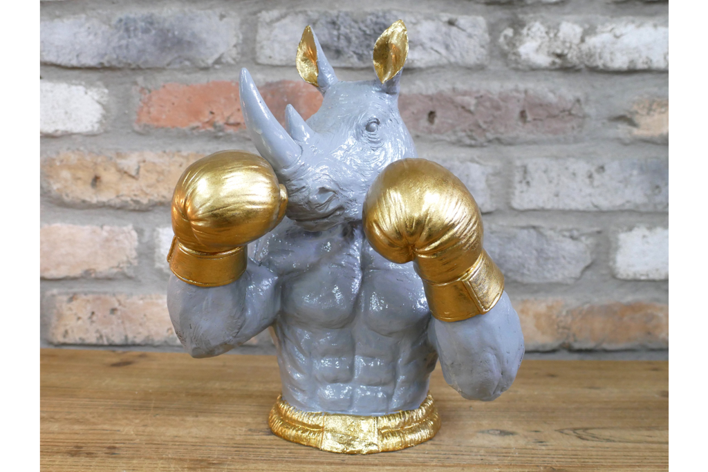 Boxing Rhino
