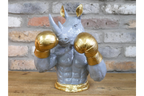 Boxing Rhino