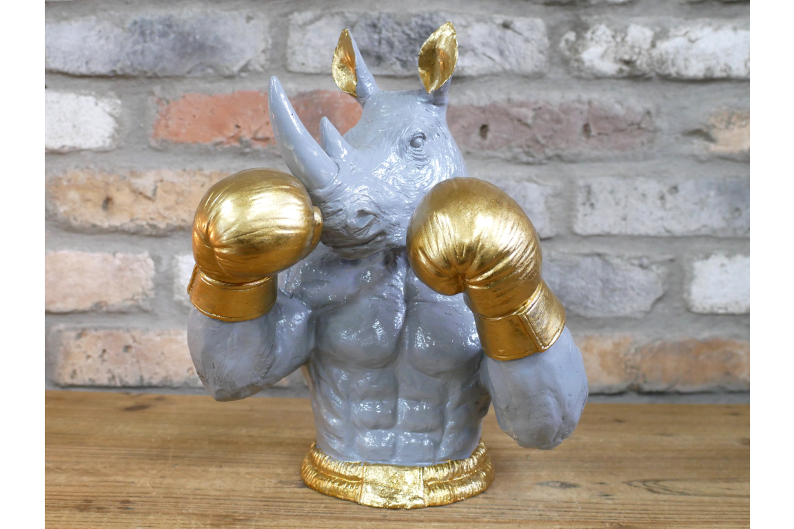 Boxing Rhino