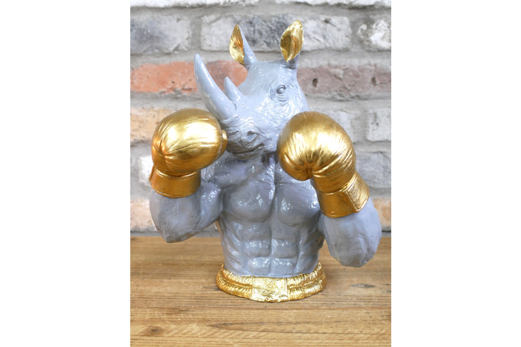 Boxing Rhino