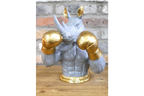 Boxing Rhino
