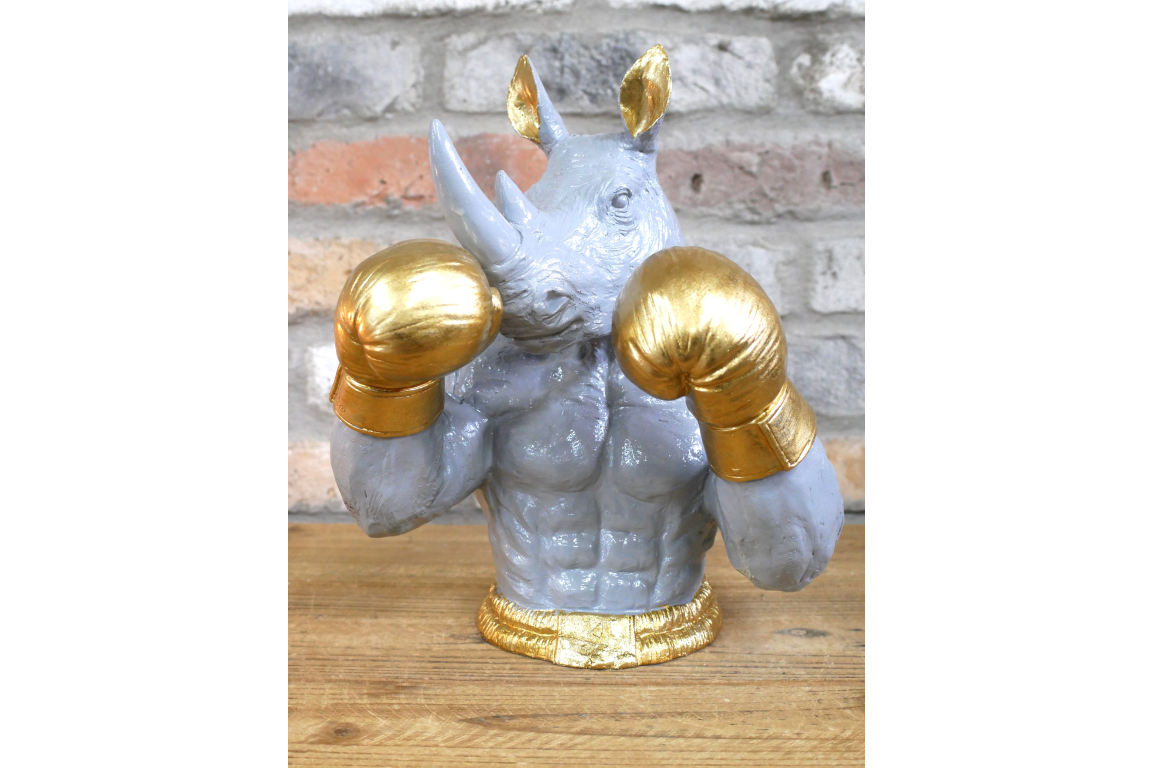 Boxing Rhino
