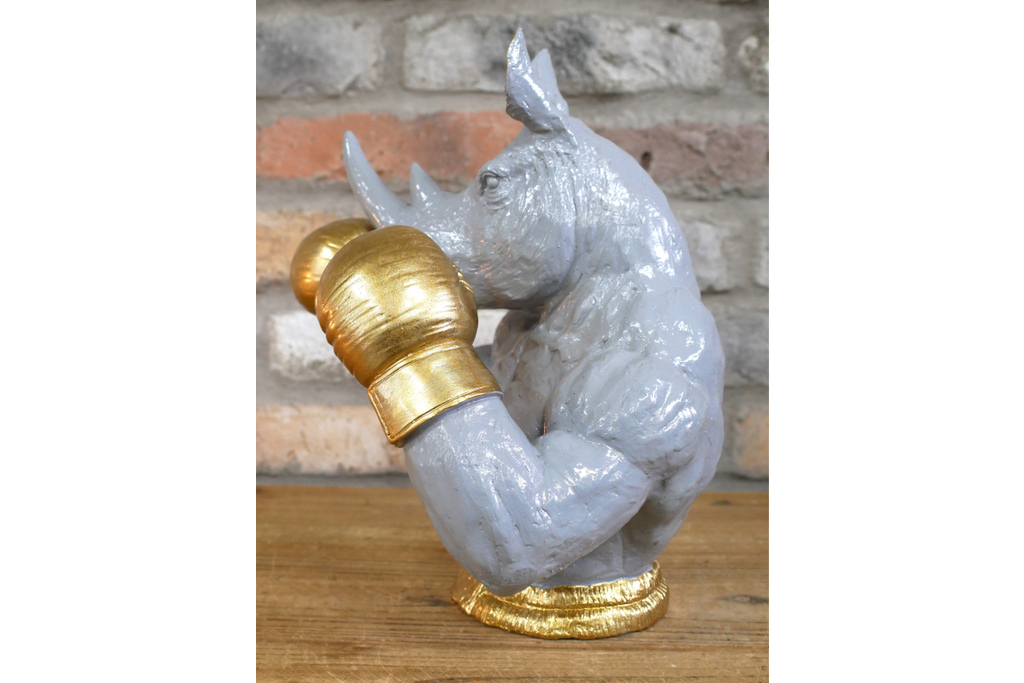 Boxing Rhino
