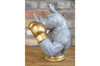 Boxing Rhino