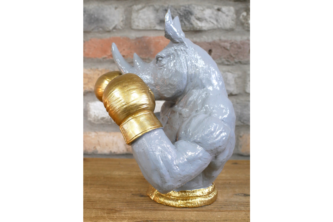 Boxing Rhino