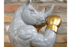 Boxing Rhino