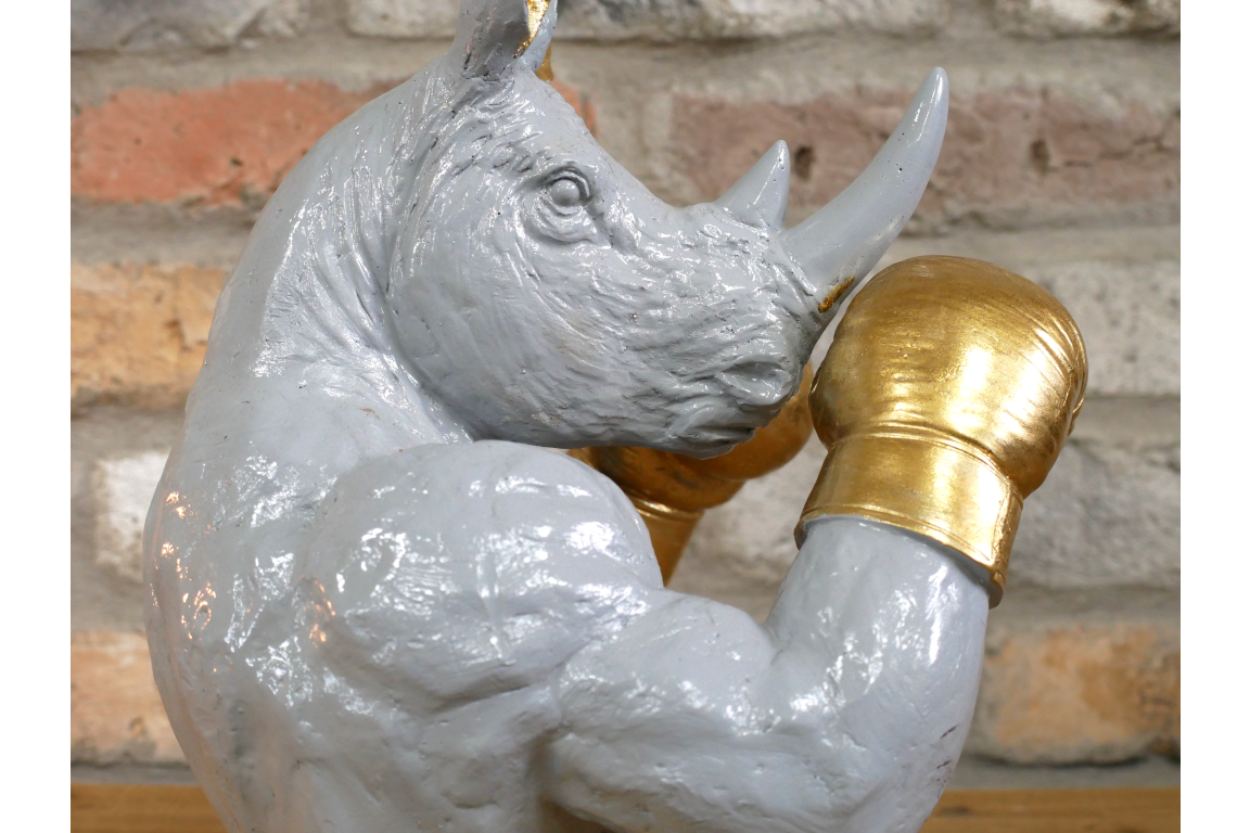 Boxing Rhino