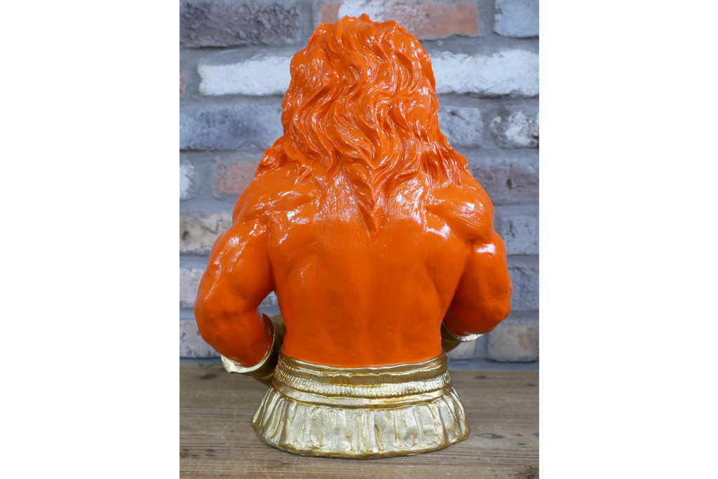Boxing Lion