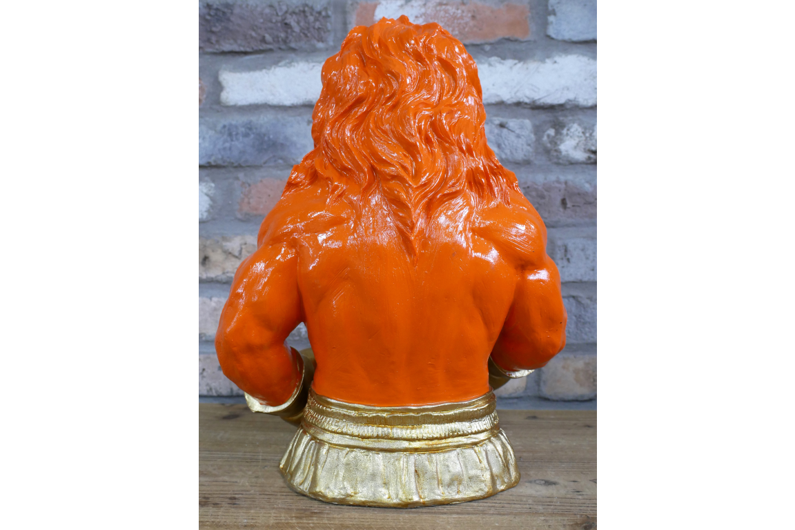 Boxing Lion