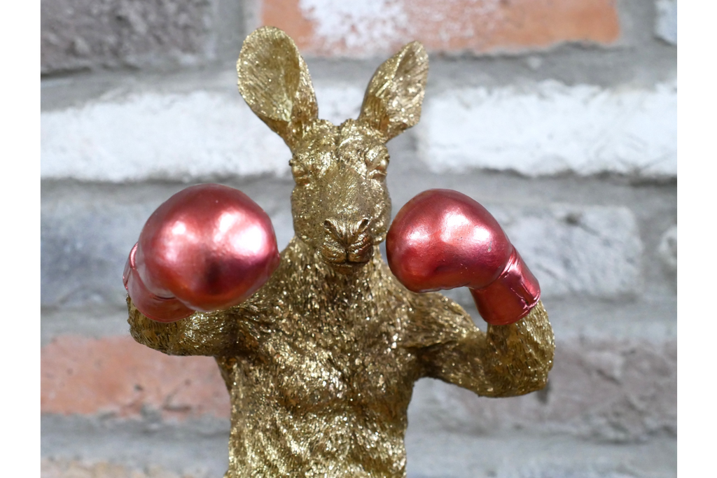 Boxing Kangaroo