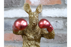 Boxing Kangaroo