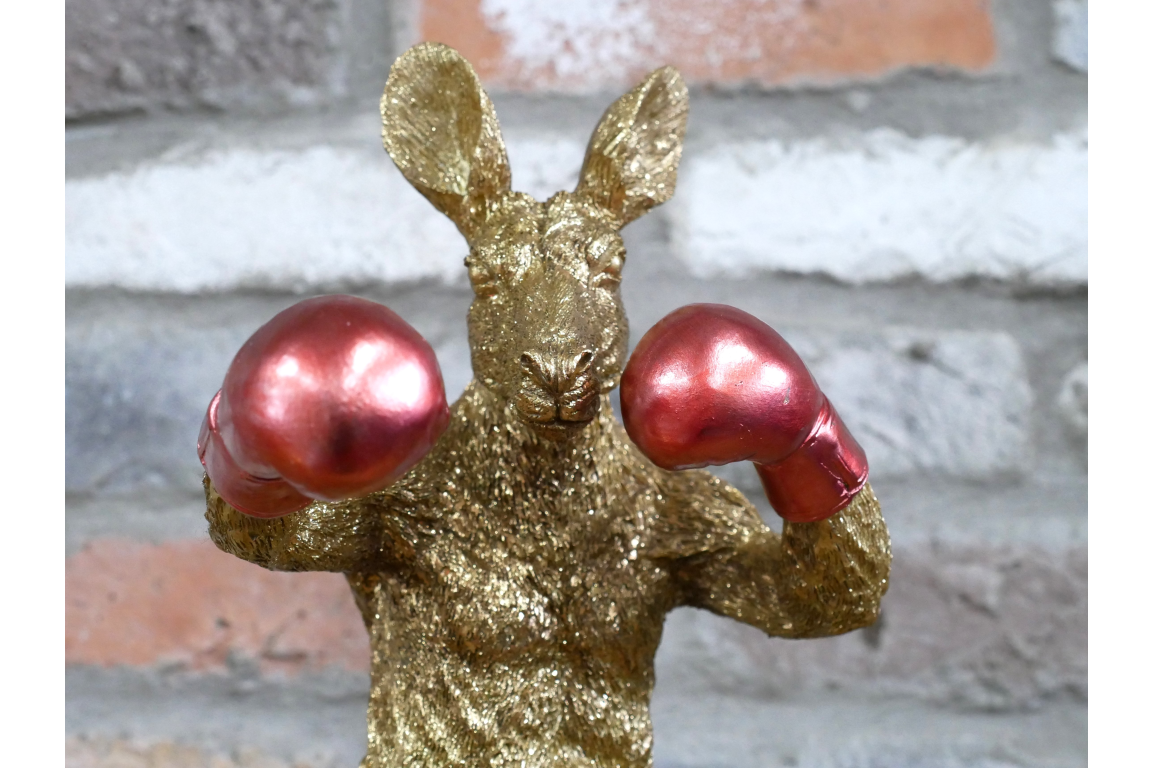 Boxing Kangaroo