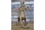 Boxing Kangaroo