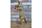 Boxing Kangaroo