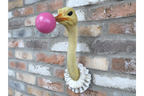 Ostrich Wall Decoration