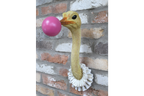 Ostrich Wall Decoration