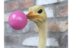 Ostrich Wall Decoration