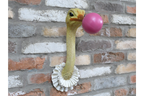Ostrich Wall Decoration