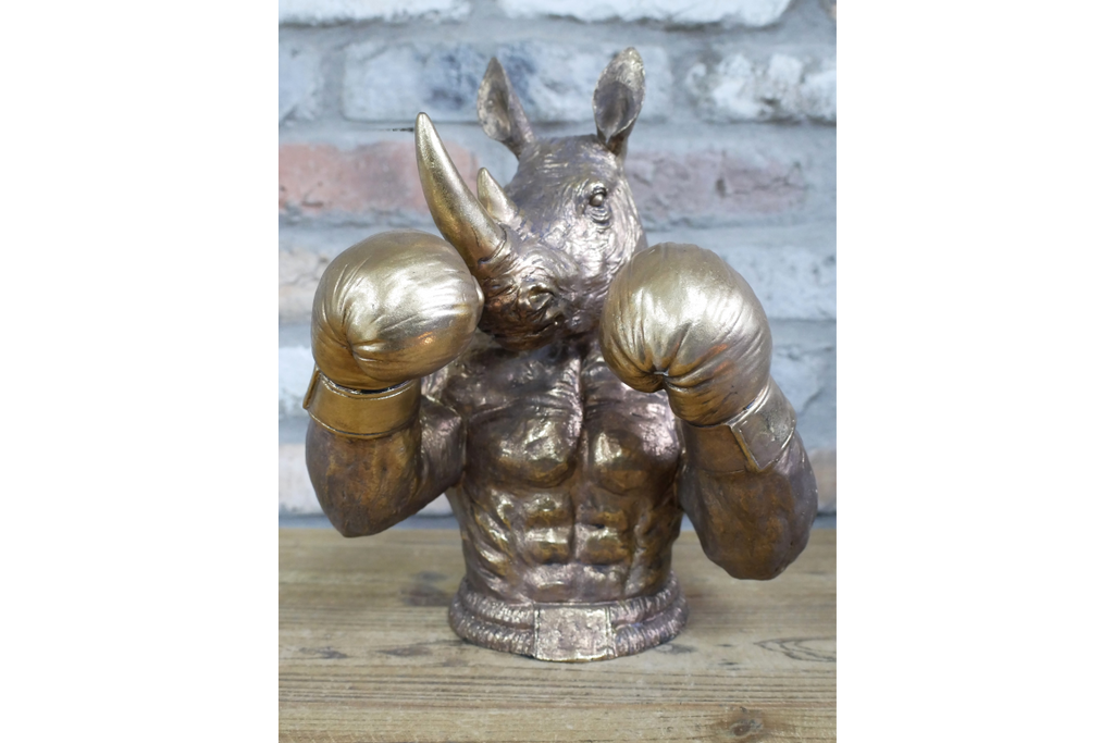 Boxing Rhino